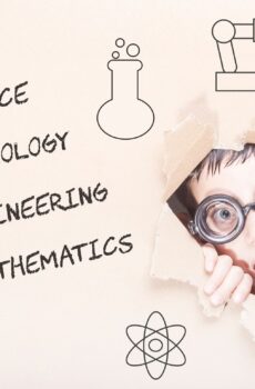 Bases Didácticas Para La Educación STEM